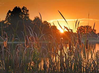 Sunrise at the Celery Bog