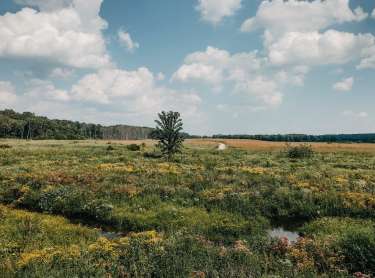Prophetstown State Park Lookout