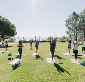 Wellness Yoga Outdoor Sports