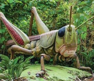 It's a Bug's World at Roger Williams Park Zoo