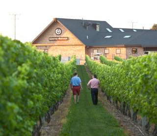 Vines, Wines & Good Times: Uncorking Rhode Island's Wine Scene