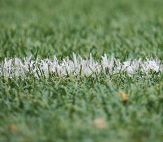 Sports Roots Run Deep in Rhode Island