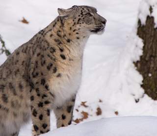 Winter Fun at Roger Williams Park Zoo!