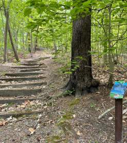Trails