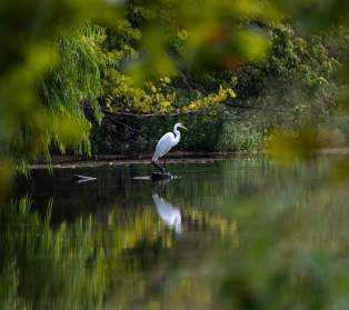 nature center