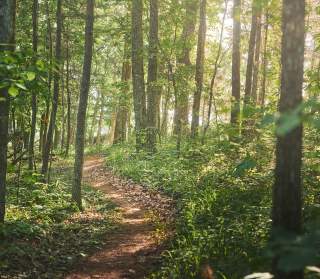 A Hiking Weekend In Oak Mountain State Park