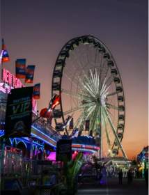 Houston Rodeo BBQ Contest