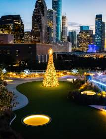 POST Winter Wonderlawn Nighttime Skyline with Tree 2
