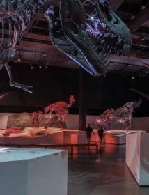 Museum of Natural Science