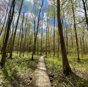 Beanblossom Bottoms in April