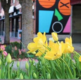 Top Places to Explore in Bloomington This Spring
