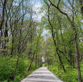 Bloomington's Best Outdoor Hidden Gems