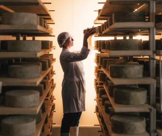 Cheesemaker in an aging room reaching for a cheese wheel