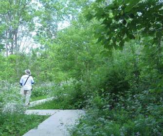 Oxford Thames River Trail