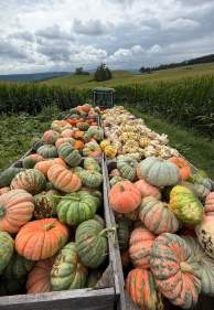Forget the Staged Pumpkin Patch: Bedford County, PA is the Answer for Authentic Autumn Vibes