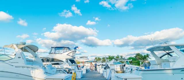 Quarterdeck Davie photo 6