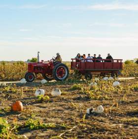 10+ Fall Adventures in Greater Lafayette