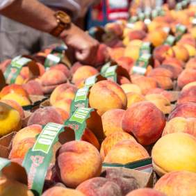 Peaches