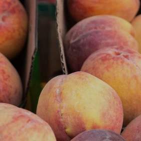 Peaches