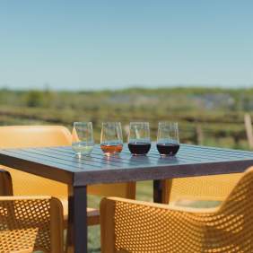 Wine tasting cups