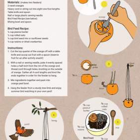 MoG Bird Feeder