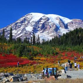 Paradise at Mount Rainier in fall