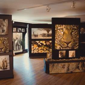 Edward Spera Gallery