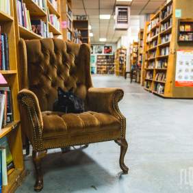 King's Books