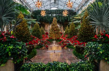 Inside A Longwood Christmas 2023