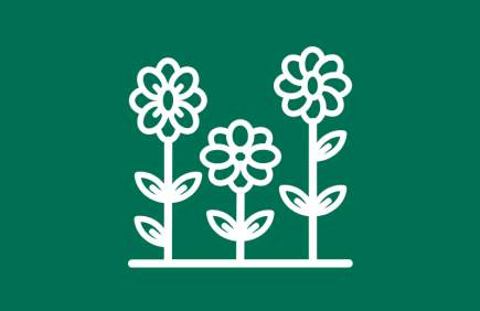 More Gardens to Explore Icon