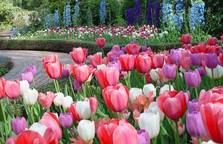 Garden Path at Mt. Cuba Center, Hockessin, Delaware