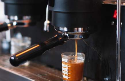 Sleeping Bird Coffee