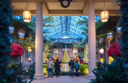 A Longwood Christmas