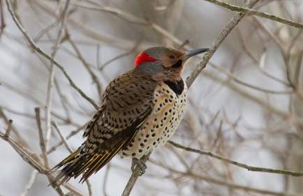 Ashland Nature Center