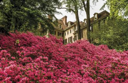 Winterthur Museum, Garden & Library