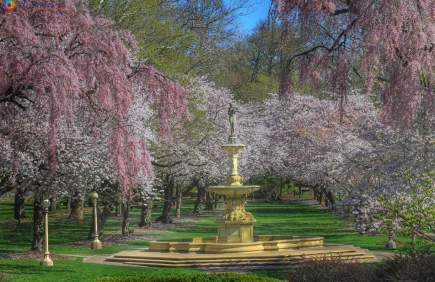 Wilmington State Parks - Brandywine Park