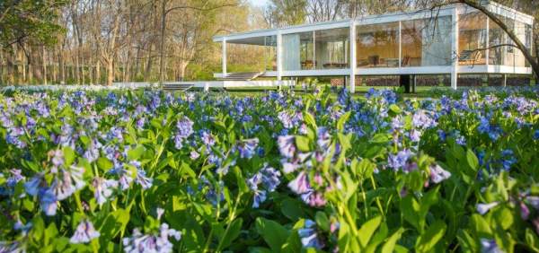 Edith Farnsworth's Country House Celebrated in 2020 | EnjoyAurora.com