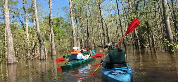 Two people kayaking through Big Thicket National Preserve near Beaumont, TX