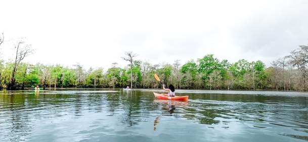 A lone visitor kayaks through the waters of Big Thicket near Beaumont.