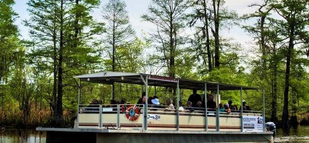 Pantoon boat tour from the Neches River Adventures