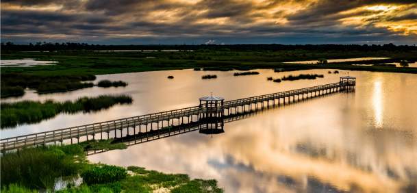 Aerial view of the boardwalk at Cattail Marsh