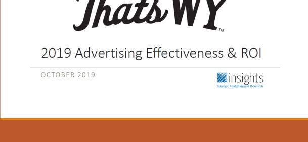 2019 Advertising Effectiveness & ROI cover