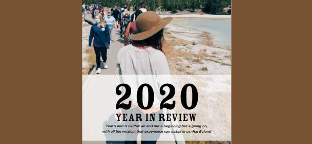 2020 Year in Review report cover