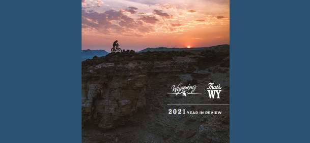 2021 Year in Review cover
