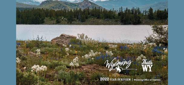 2022 Year in Review cover