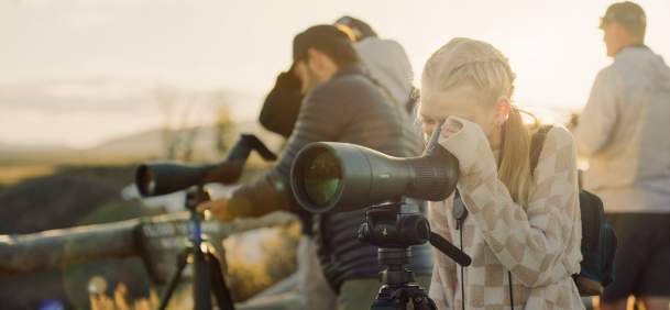 Grand Teton National Park, Jackson Hole, Family Wildlife Viewing