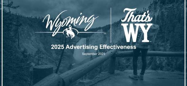 2025 Advertising Effectiveness Study