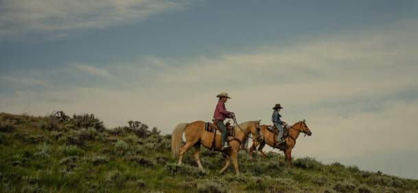 Mavericks Wanted Horseback Riding