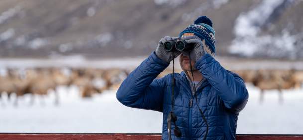 Winter Wildlife Viewing