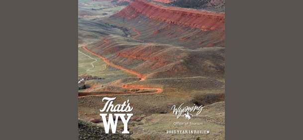 2025 Year in Review cover